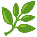 Eco Friendly Products